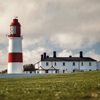 Buy canvas prints of  Souter Lighthouse by Ray Pritchard