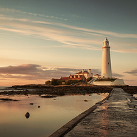 Buy canvas prints of  St Marys Lighthouse by Ray Pritchard