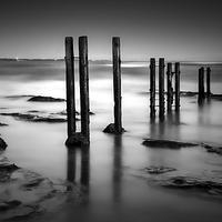 Buy canvas prints of  Wooden Posts by Ray Pritchard