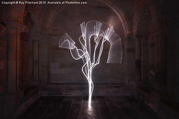  Tree of Light Picture Board by Ray Pritchard