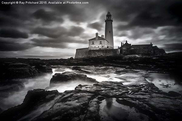 St Marys Lighthouse  Picture Board by Ray Pritchard