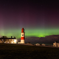 Buy canvas prints of Souter Lighthouse Aurora by Ray Pritchard