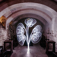 Buy canvas prints of Light Tree in the Crypt by Ray Pritchard