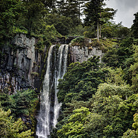 Buy canvas prints of Pistyll Rhaeadr by Ray Pritchard