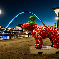 Buy canvas prints of Strawberry Snow dog at Newcastle by Ray Pritchard
