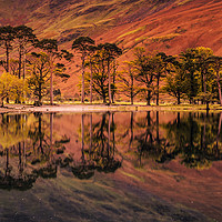 Buy canvas prints of Buttermere Panorama  by Ray Pritchard