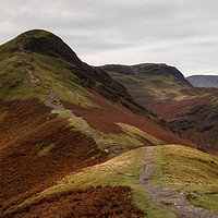 Buy canvas prints of Catbells by Ray Pritchard