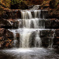 Buy canvas prints of Summerhill Force  by Ray Pritchard