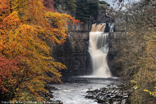 High Force Waterfall Picture Board by Ray Pritchard
