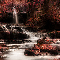 Buy canvas prints of Bowlees Beck by Ray Pritchard
