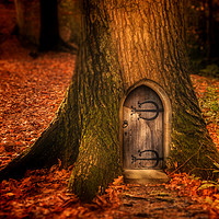 Buy canvas prints of Fairydoor by Ray Pritchard