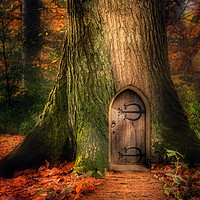 Buy canvas prints of Fairydoor 2 by Ray Pritchard