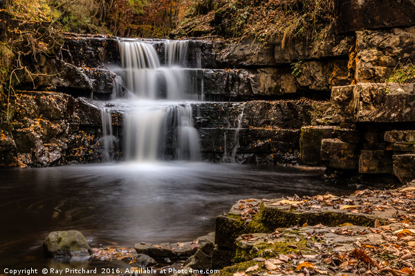 Bowlees Waterfall Picture Board by Ray Pritchard