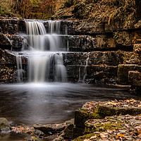 Buy canvas prints of Bowlees Waterfall by Ray Pritchard