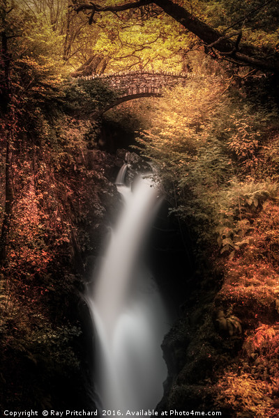 Aira Force  Picture Board by Ray Pritchard