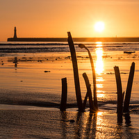 Buy canvas prints of Seaweed at Roker by Ray Pritchard