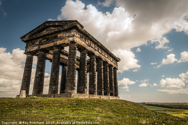 Penshaw Monument  Picture Board by Ray Pritchard