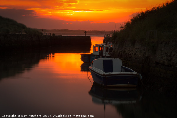 Seaton Sluice at Sunset Picture Board by Ray Pritchard