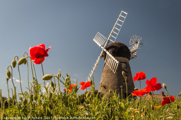 Windmill and Poppies Picture Board by Ray Pritchard