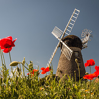 Buy canvas prints of Windmill and Poppies by Ray Pritchard