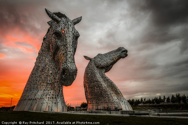 The Kelpies at Sunset Picture Board by Ray Pritchard