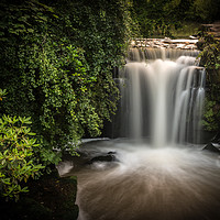 Buy canvas prints of Waterfall at Jesmond Dene by Ray Pritchard