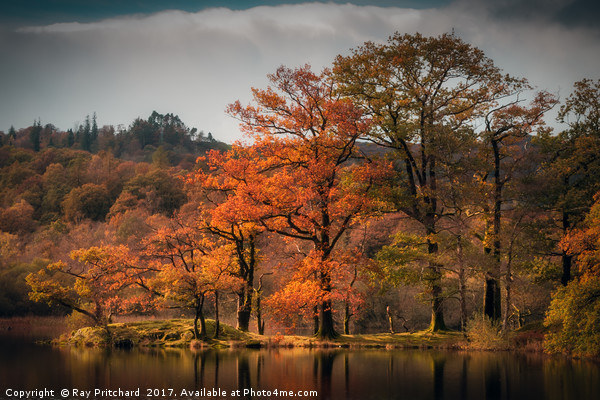 Autumn Colours at Rydal Water Picture Board by Ray Pritchard