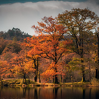 Buy canvas prints of Autumn Colours at Rydal Water by Ray Pritchard