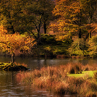 Buy canvas prints of Autumn at Rydal Water by Ray Pritchard
