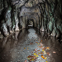 Buy canvas prints of Entrance to Cathedral Cavern by Ray Pritchard