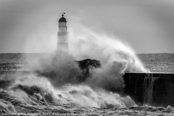 Storm Surge at Seaham Picture Board by Ray Pritchard