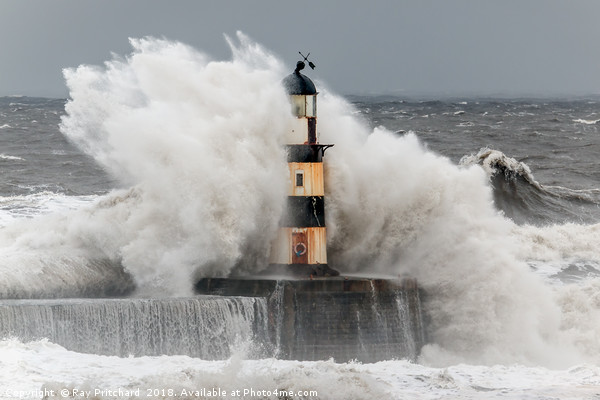 Big Waves at Seaham Picture Board by Ray Pritchard