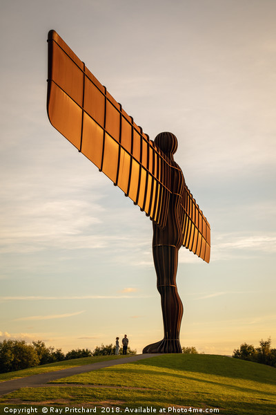 Angel of the North  Picture Board by Ray Pritchard