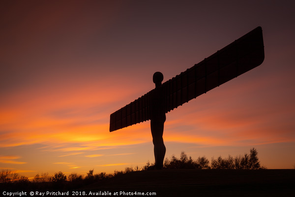 Angel of the North at Sunset Picture Board by Ray Pritchard