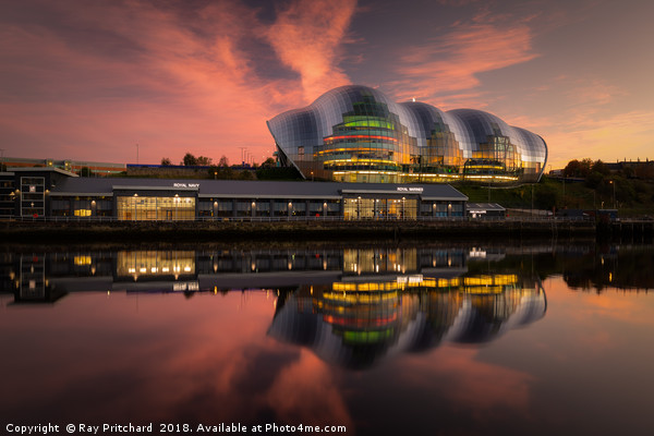 The Sage at Sunset Picture Board by Ray Pritchard