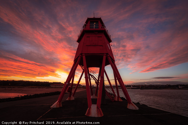 Herd Groyne Lighthouse  Picture Board by Ray Pritchard