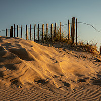 Buy canvas prints of South Shields Sand Dunes  by Ray Pritchard