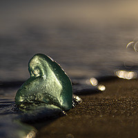 Buy canvas prints of Sea Glass by Ray Pritchard