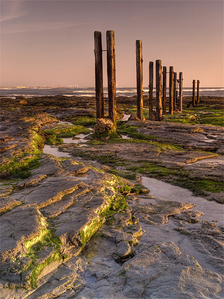 Wooden Posts Picture Board by Ray Pritchard