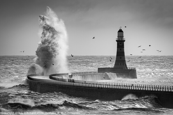 Stormy Seas and Seagulls  Picture Board by Ray Pritchard