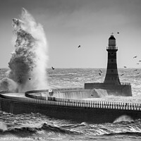 Buy canvas prints of Stormy Seas and Seagulls  by Ray Pritchard