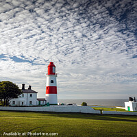 Buy canvas prints of Souter Lighthouse by Ray Pritchard