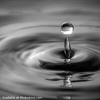 Buy canvas prints of Water Drop  by Ray Pritchard