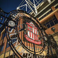 Buy canvas prints of Stadium Of Light  by Ray Pritchard