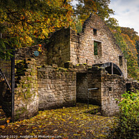 Buy canvas prints of Old Mill at Jesmond Dene by Ray Pritchard