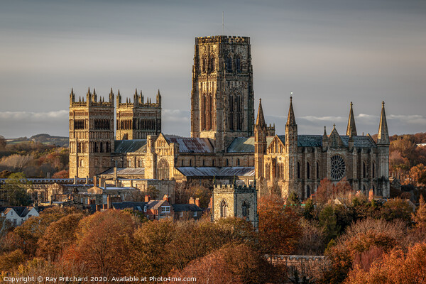 Durham Cathedral in Autumn Picture Board by Ray Pritchard