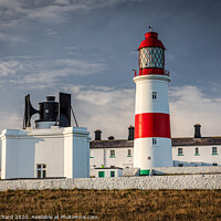 Buy canvas prints of Souter  by Ray Pritchard