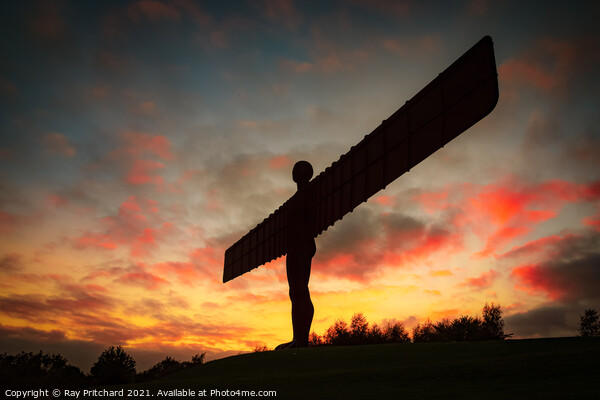 Angel of the North at Sunset  Picture Board by Ray Pritchard
