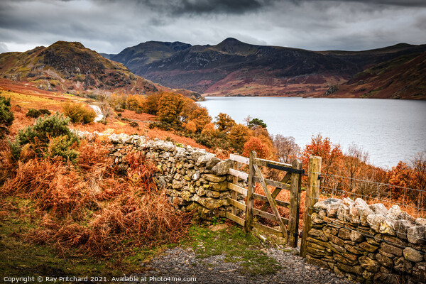 Gateway to Crummock Water  Picture Board by Ray Pritchard