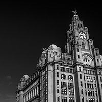 Buy canvas prints of Royal Liver Building by James Harrison
